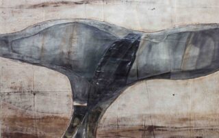 Gammel havørn (materialbilde) Kystmuseet – hegranes.no Gammel havørn (materialbilde) Kystmuseet - hegranes.no